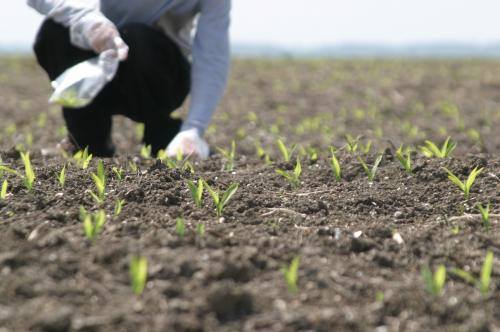 AGROMEDIU