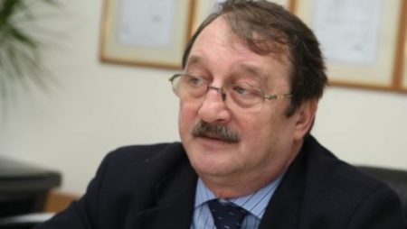 mircea basescu