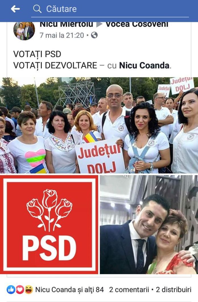 Pnl dolj, activist, psd, presedinte