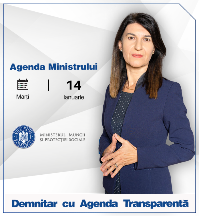 violeta alexandru, ministrul, munca