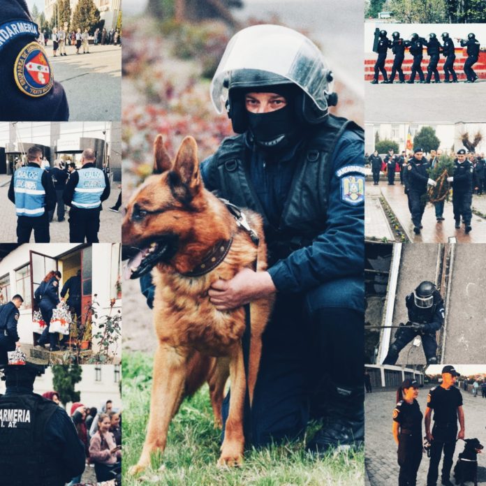 JANDARMI, VALCEA, GUTAU