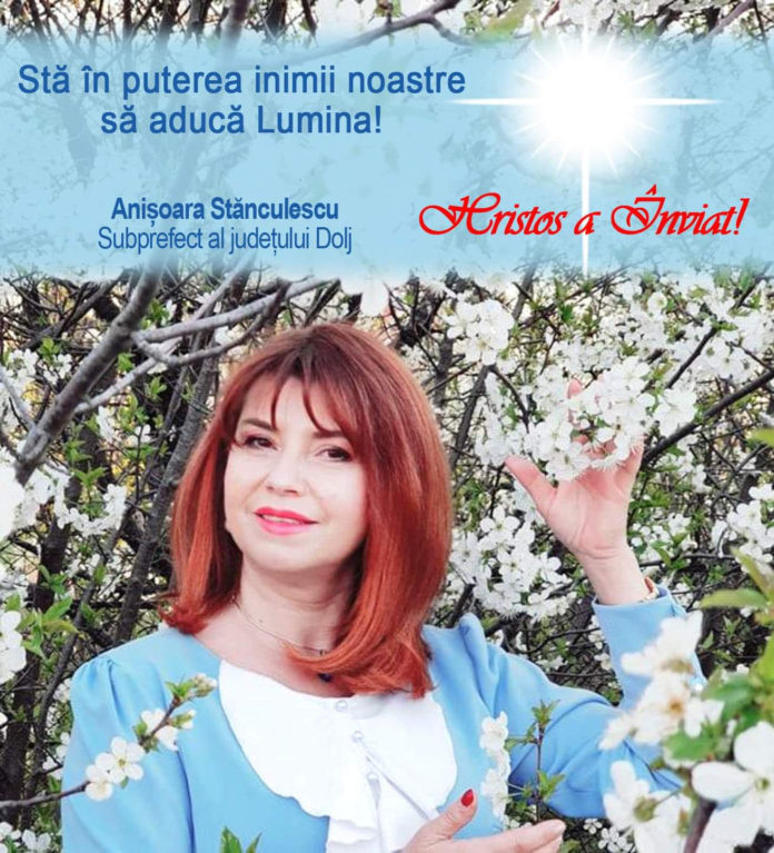 anisoara stanculescu