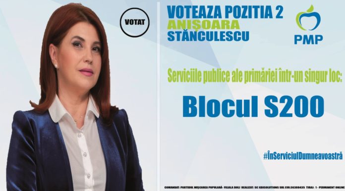 anisoar anisoara stanculescu, pmp