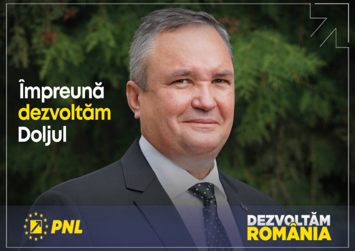 senat, ciuca