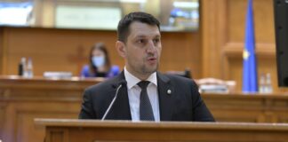 stefan stoica