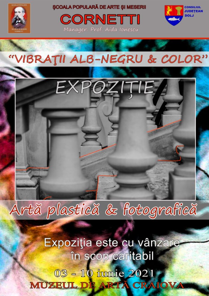 expozitie