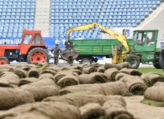 Se schimbă gazonul de pe “Ion Oblemenco” gazon, stadion craiova