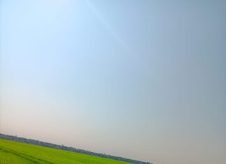 Orezăria din Rojişte, singura din Dolj