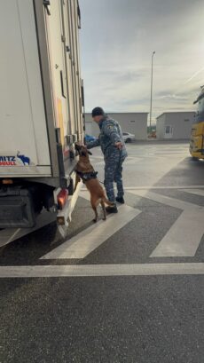 Dolj: ACȚIUNE DE AMPLOARE DESFĂŞURATĂ PENTRU PREVENIREA ȘI COMBATEREA TRAFICULUI DE MIGRANȚI, TRAFICULUI DE PERSOANE, CONTRABANDEI ȘI ALTOR INFRACŢIUNI DE CRIMINALITATE ORGANIZATĂ