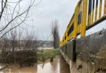 Podul de pe DJ 562A, inundat la Drăgoia. Circulația rutieră a fost închisă Podul de pe DJ 562A, inundat