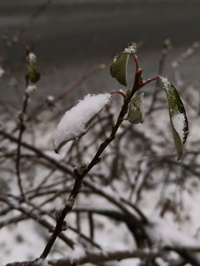 Weekend cu ger, polei și precipitații mixte în Oltenia