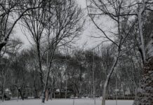ALERTĂ METEO: România, lovită de un val de aer polar. Ger de -14 grade, polei și vânt puternic până duminică