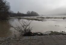 ALERTA HIDROLOGICĂ ÎN JUDEȚUL DOLJ: Cod Portocaliu de viituri, drumuri închise și mii de hectare de terenuri agricole inundate ALERTA HIDROLOGICĂ ÎN JUDEȚUL DOLJ
