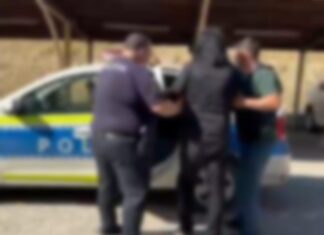 Șofer de 75 de ani, reținut la Calafat după ce a prezentat un permis fals