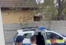 Tânăr reținut după două agresiuni comise în aceeași noapte