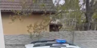 Tânăr reținut după două agresiuni comise în aceeași noapte