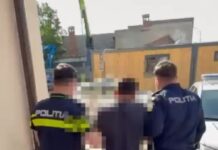 Șofer beat, fără permis și cu numere false, reținut de polițiștii din Dolj