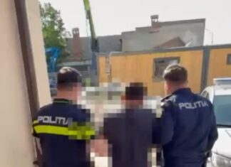 Șofer beat, fără permis și cu numere false, reținut de polițiștii din Dolj