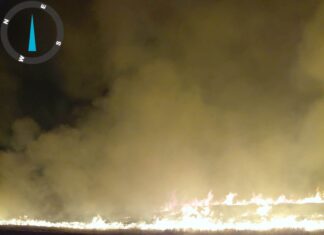 Incendiile de vegetație au făcut ravagii în Dolj. Aproape 190 de hectare au ars în doar 24 de ore, iar un tractor a fost distrus de flăcări Incendiile de vegetație au făcut ravagii în Dolj