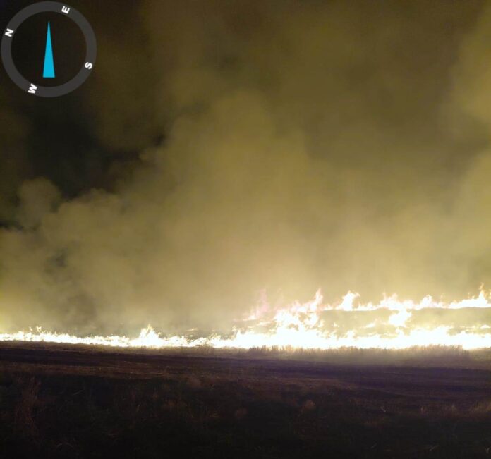 02 Incendiile de vegetație au făcut ravagii în Dolj