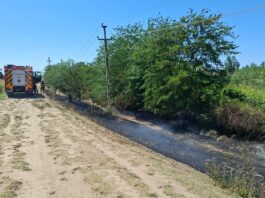 Incendiu de proporții la Maglavit. Zeci de pompieri luptă cu flăcările
