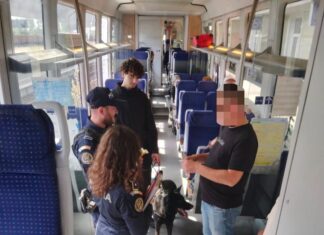 Acțiune a Poliției Transporturi Craiova: sute de persoane verificate, 159 de călători frauduloși depistați Acțiune a Poliției Transporturi Craiova: sute de persoane verificate, 159 de călători frauduloși depistați