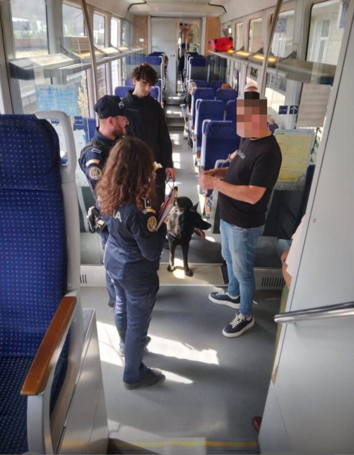 Acțiune a Poliției Transporturi Craiova: sute de persoane verificate, 159 de călători frauduloși depistați