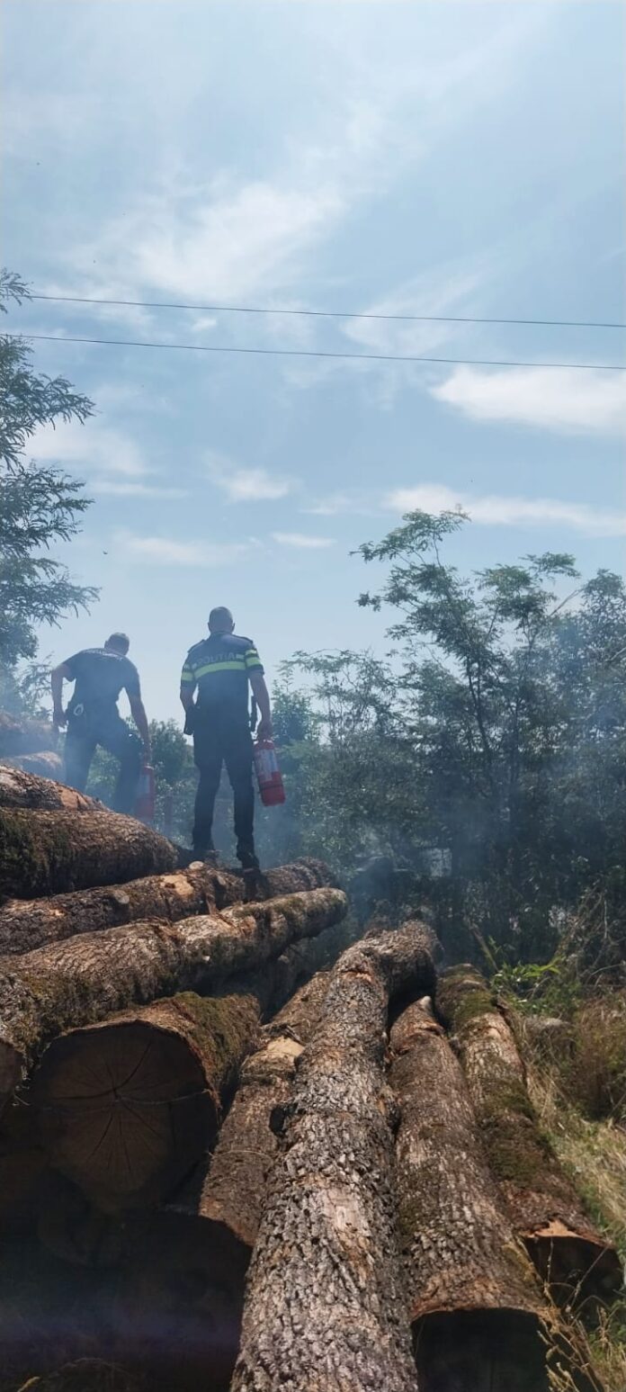 Intervenție salvatoare la Filiași. Un polițist și un jandarm au limitat un incendiu care amenința un depozit de lemne și o locuință