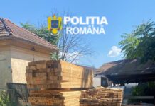Polițiștii din Dolj au confiscat aproape 63 de metri cubi de cherestea
