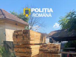 Polițiștii din Dolj au confiscat aproape 63 de metri cubi de cherestea transportată ilegal Polițiștii din Dolj au confiscat aproape 63 de metri cubi de cherestea
