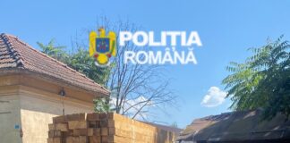 Polițiștii din Dolj au confiscat aproape 63 de metri cubi de cherestea