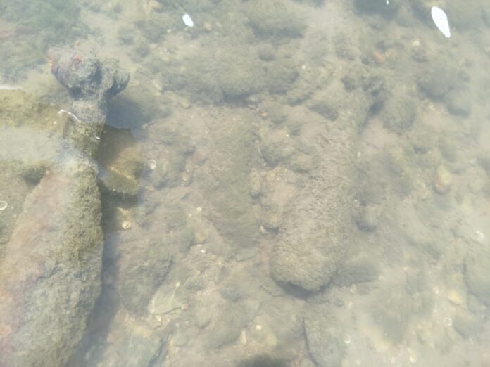 IMG-20260816-WA0007