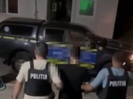 Tânăr de 28 de ani, reținut după ce ar fi ucis o pisică pe un bulevard din Craiova
