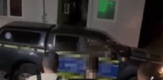 Tânăr de 28 de ani, reținut după ce ar fi ucis o pisică pe un bulevard din Craiova