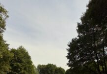 Amendă de 40.000 de lei pentru lucrări neautorizate pe râul Blahnița