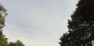 Amendă de 40.000 de lei pentru lucrări neautorizate pe râul Blahnița