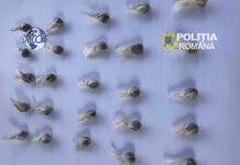 Trei persoane din Craiova, arestate preventiv