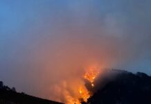Incendiul din Parcul Național Domogled–Valea Cernei arde de săptămâni întregi. Agent Green cere IGSU să explice lipsa solicitării de sprijin european
