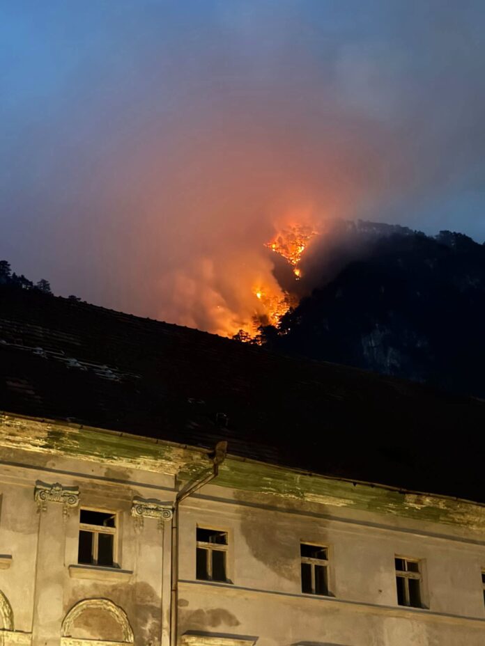 Incendiul din Parcul Național Domogled–Valea Cernei arde de săptămâni întregi. Agent Green cere IGSU să explice lipsa solicitării de sprijin european