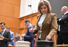 Senatoarea de Dolj Alina Tănăsescu se retrage din comisia de anchetă privind zborurile private