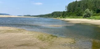 Dunărea atinge la Baziaș un nou minim istoric pentru luna septembrie. Debitul a coborât la 1.250 mc/s Dunărea, atinge la Baziaș, un nou, minim istoric, pentru, luna septembrie