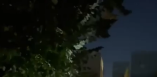 Călin Georgescu, ridicat de DIICOT din trafic