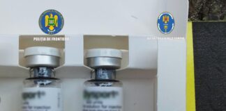 Toxină botulinică de peste 3,3 milioane de lei, descoperită la frontiera de la Calafat