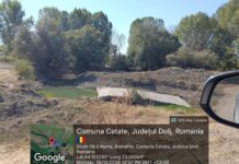 Amendă de 40.000 de lei pentru o fermă de bovine din Cetate. Măsurile de intrare în legalitate nu au fost respectate