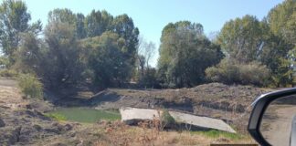 Amendă de 40.000 de lei pentru o fermă de bovine din Cetate. Măsurile de intrare în legalitate nu au fost respectate